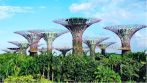 Gardens by the Bay